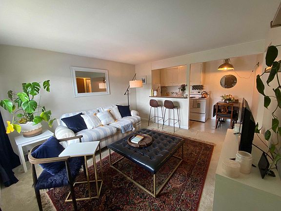 Living room and open air kitchen with bar