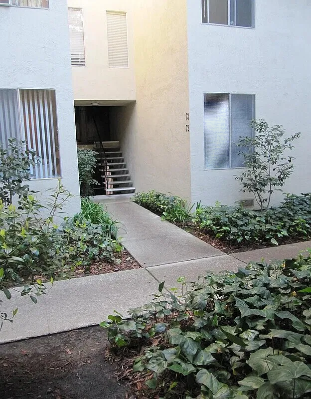 1 bed, 1.0 bath, 620 sqft, $1,595 — Photo 3