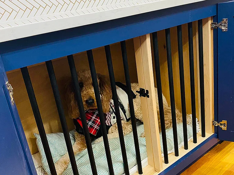 hidden dog kennel