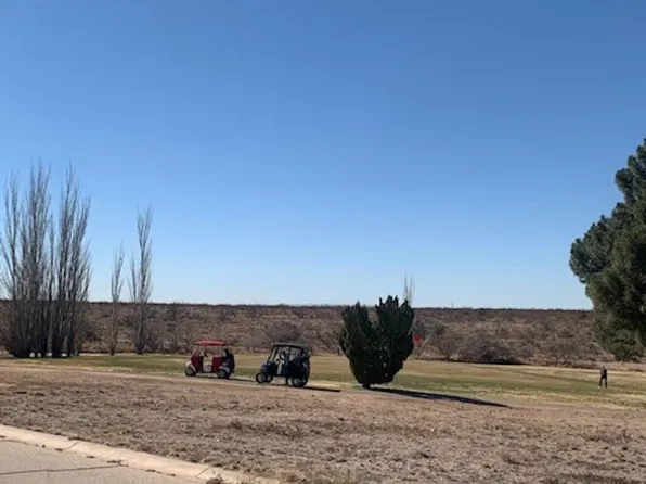 1202 Ridgecrest Dr, Carlsbad, NM 88220