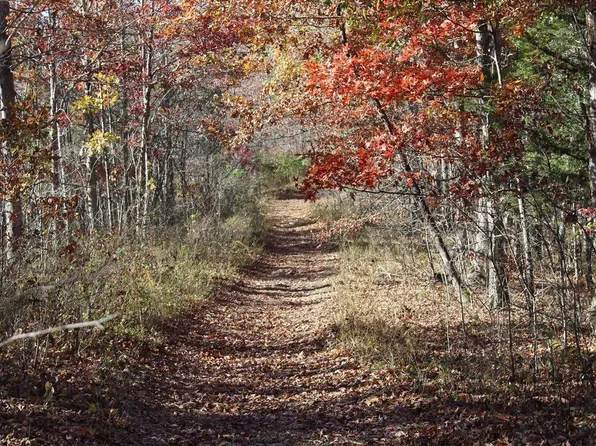 0 Dead End Trl, Garrison, KY 41141