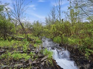 Wildenberg Rd, Union Dale, PA 18470