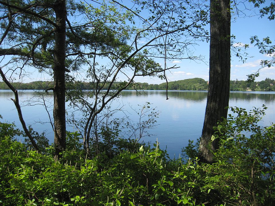 conservation land