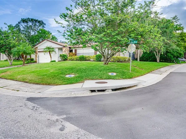 311 N Bay Hills Blvd, Safety Harbor, FL 34695