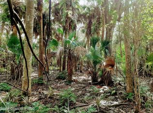 0 Chase Hammock Rd, Merritt Island, FL 32953