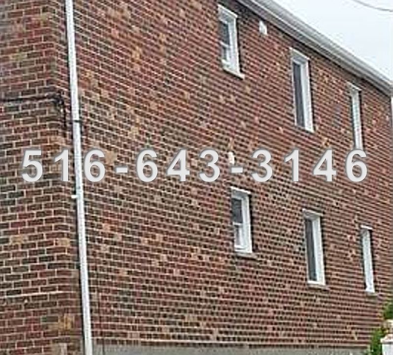 2912 Bruner Avenue Bronx NY 