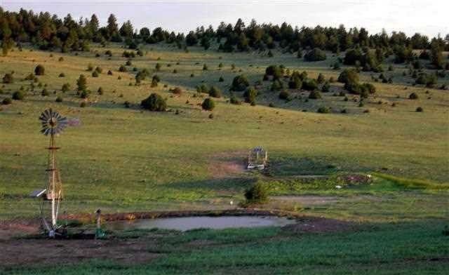 1st image of 193 Highway State Land