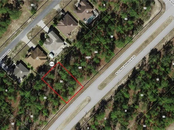 9204 N Citrus Springs Blvd, Citrus Springs, FL 34433