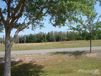 11537 Trotting Down Dr, Odessa, FL, 33556