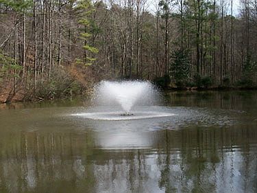 2nd image of 512 Chapel Lake Dr APT 202