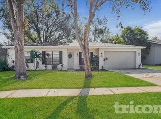 4306 Woodlark Dr, Tampa, FL 33624