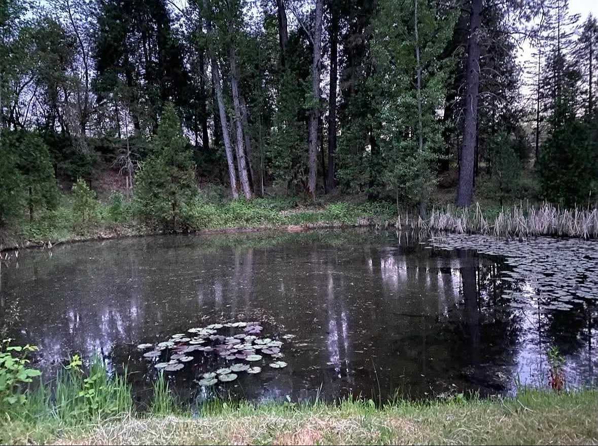 Perry Creek Rd, Somerset — Photo 4