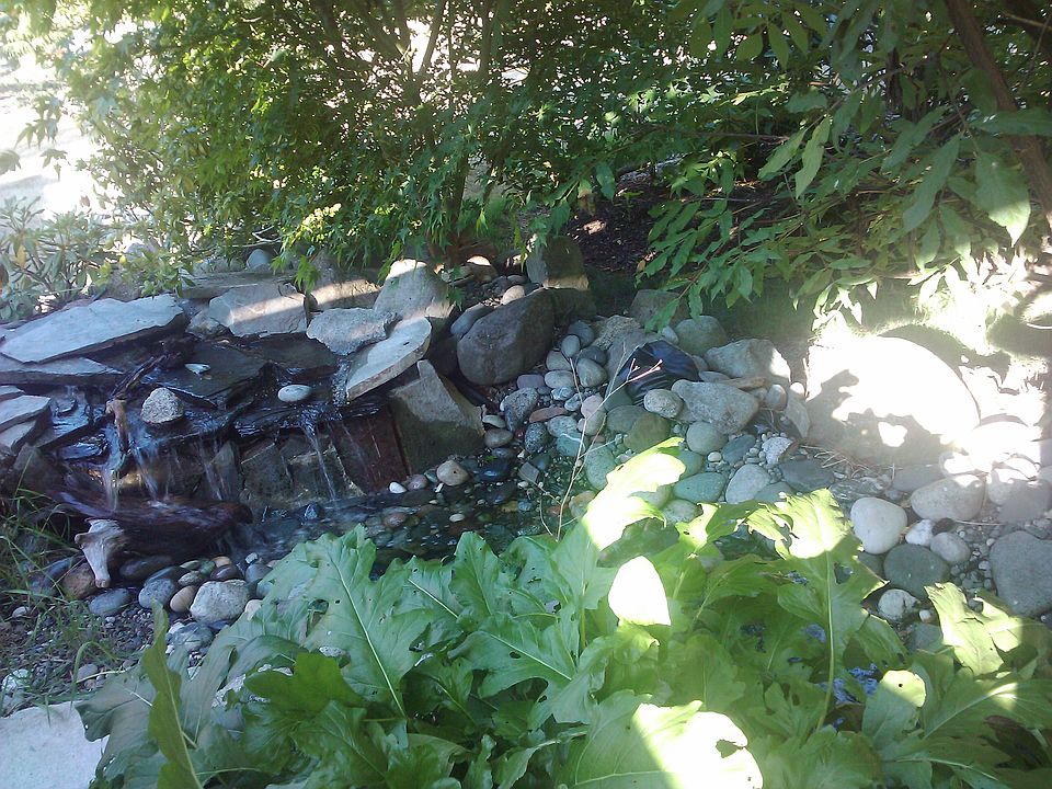 Pond outside Master Bedroom