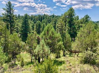 217 4th St, Ruidoso, NM 88345