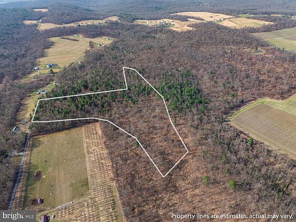 3rd image of 175 Moritz Rd