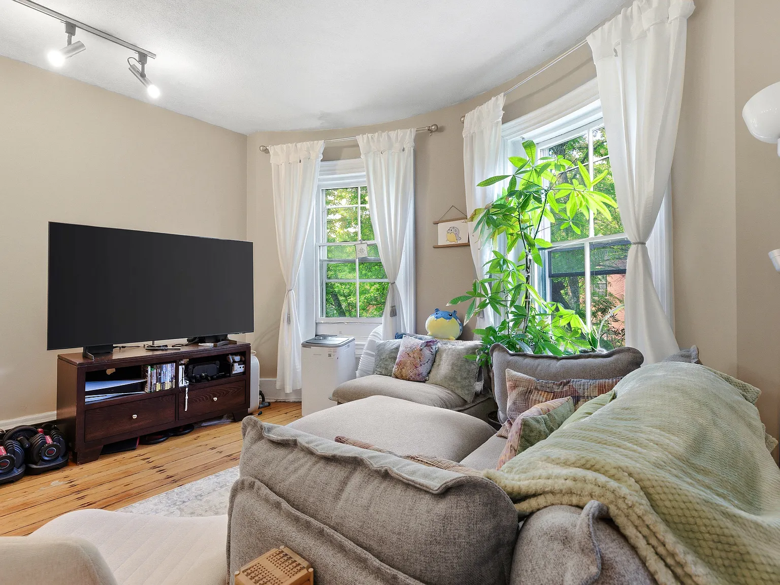 2 bed, 750 sqft, $3,850 — Photo 3