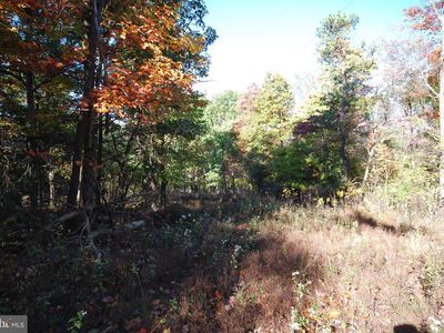 17 Gaither Rd, Great Cacapon, WV, 25422