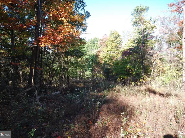 17 Gaither Rd, Great Cacapon, WV 25422