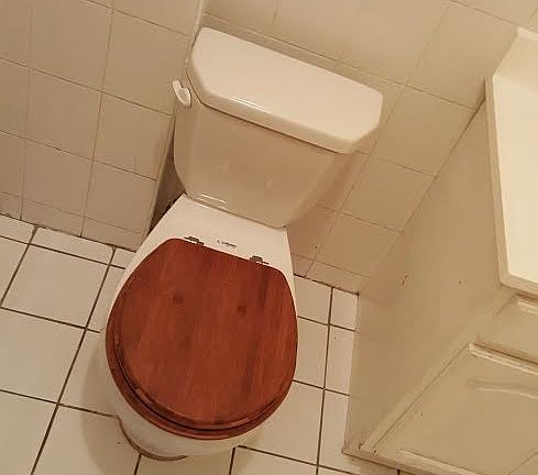 4th image of 1108 Bedford Ave #3