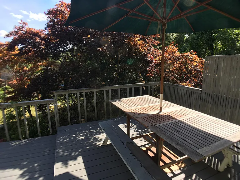 Back deck