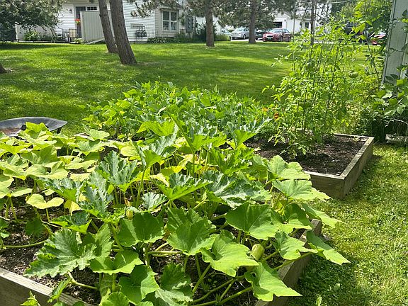 Private raised beds for your use