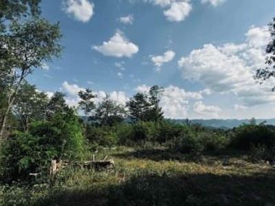 0 Martin Farm Rd, Cedar Bluff, VA, 24609