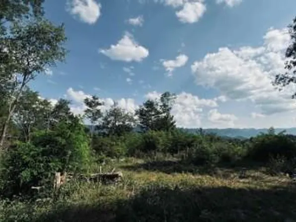 0 Martin Farm Rd, Cedar Bluff, VA 24609