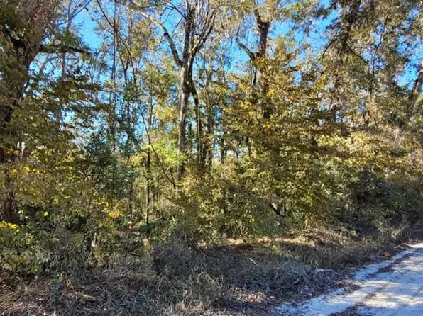 00 NE 230th Ave, Old Town, FL 32680