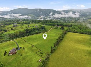 99 Fairfax Ln, Bentonville, VA 22610