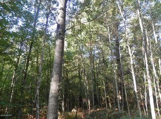 N Seaman, Wellston, MI 49689