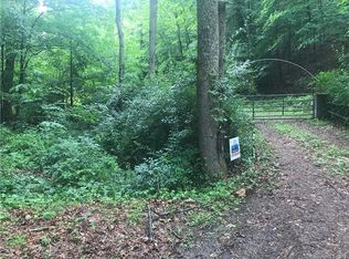 386 Island Rd, Hot Springs, NC 28743
