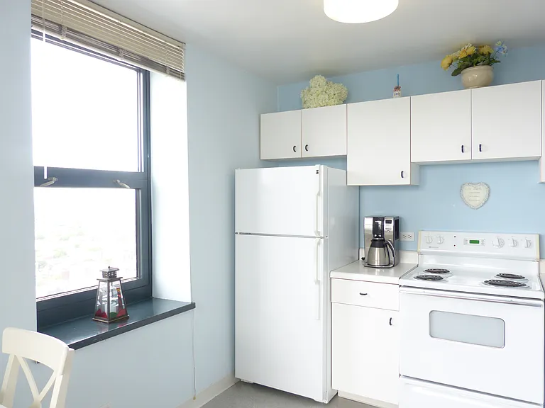 3660 N Lake Shore Dr #3311 — Photo 8