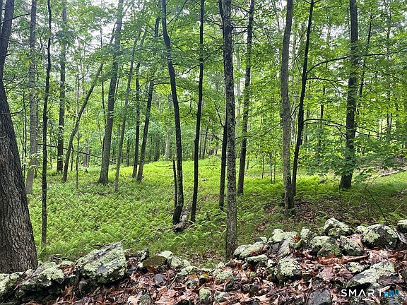 4th image of Kozey Road