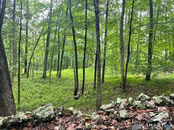 Kozey Road, Eastford, CT 06242