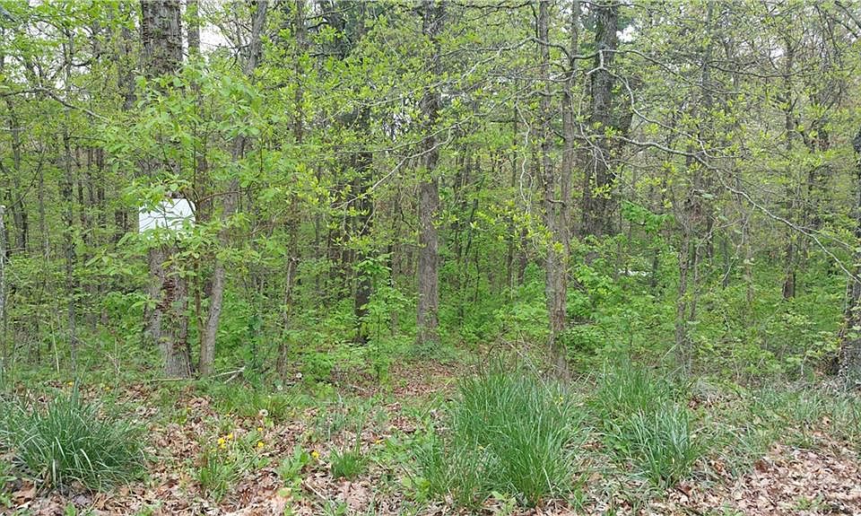 1st image of Elton Ln