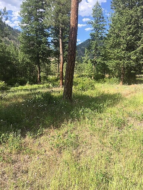 1st image of Tami Dr E