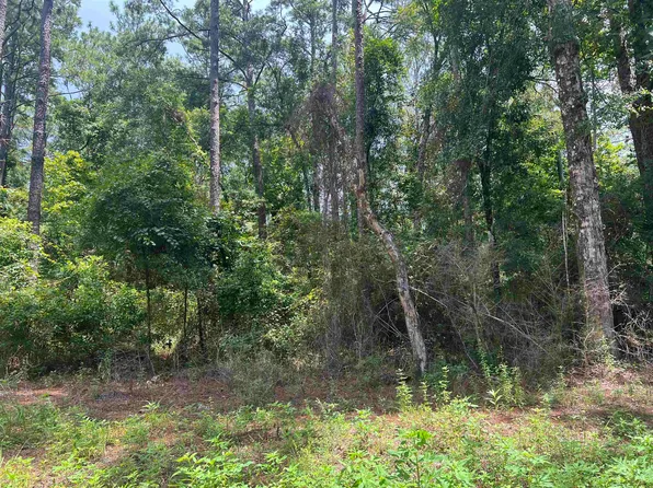 0 Neeley Rd, Crawfordville, FL 32327