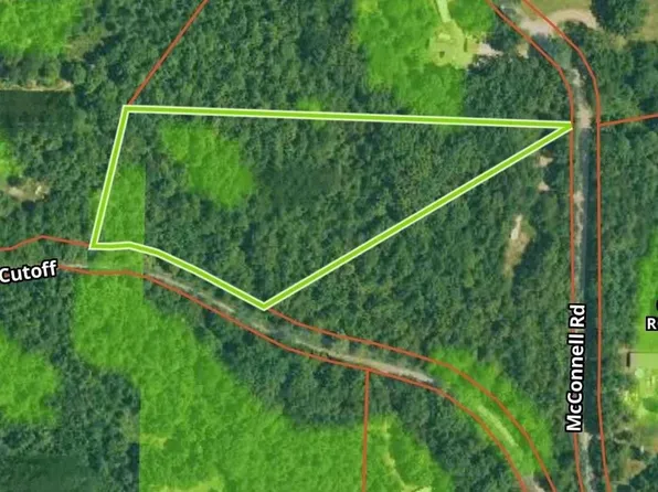 Xx Black Gum, Mountain Pine, AR 71956