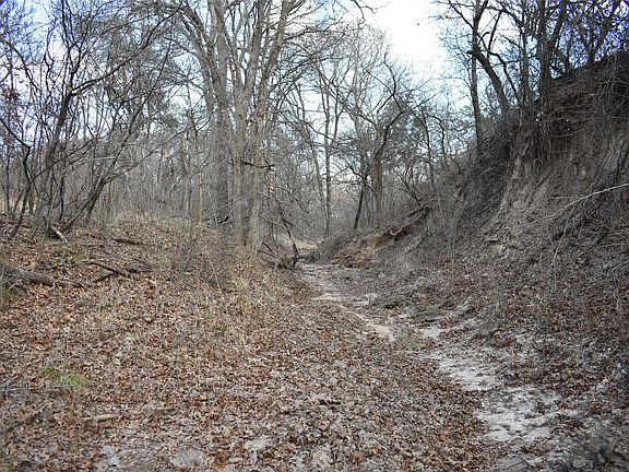 5th image of County Road 146