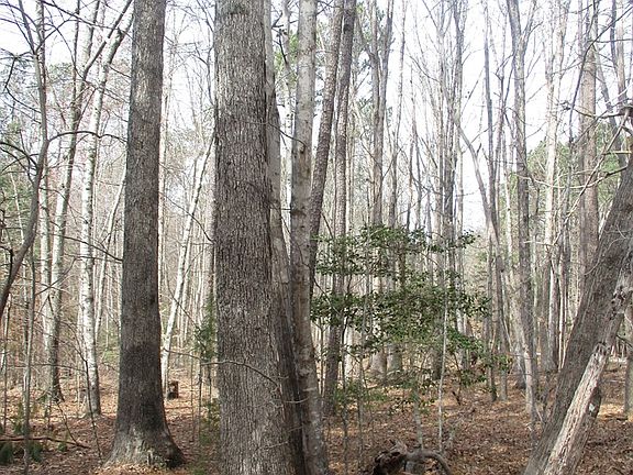 5th image of 119 Lake Point Dr