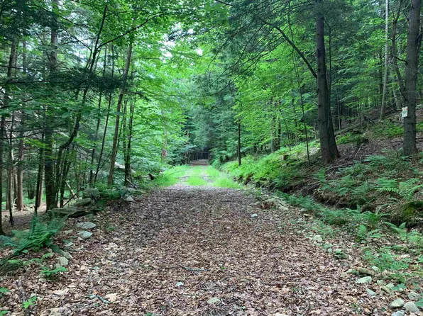 0 Whitten Road, Chester, VT 05143