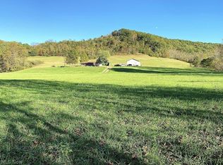 765 Middle Frk, Reedy, WV 25270
