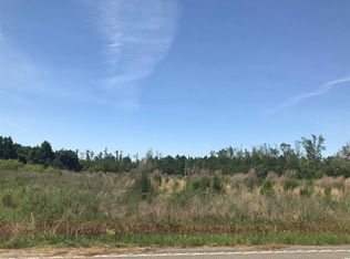 Joyner Swamp Rd, Galivants Ferry, SC 29544