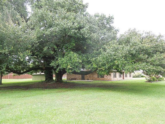 Left Side Yard