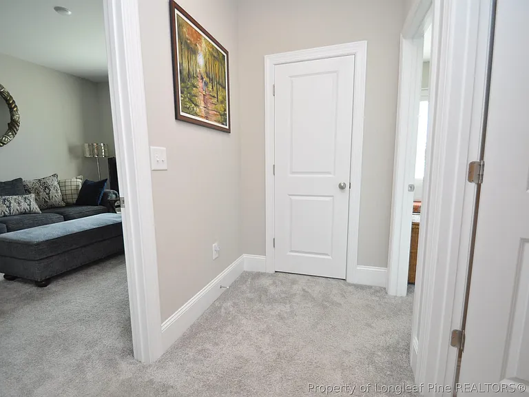1004 Pyrenees Way — Photo 20