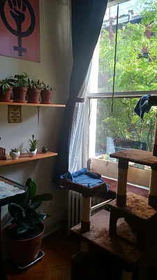 Rented by Owner | media 2