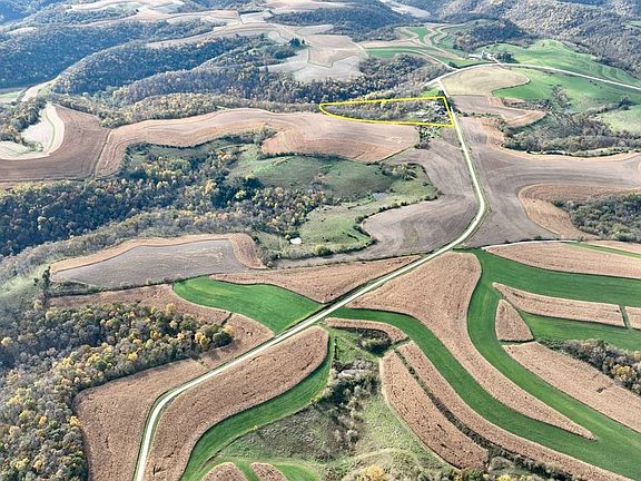 5th image of Neumann Rd