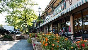 Maplewood village