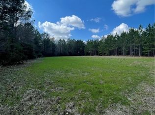 0 FISH Road, Newington, GA 30446