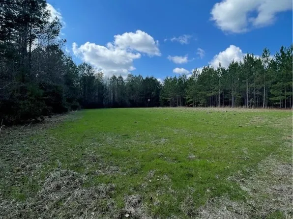 0 FISH Road, Newington, GA 30446